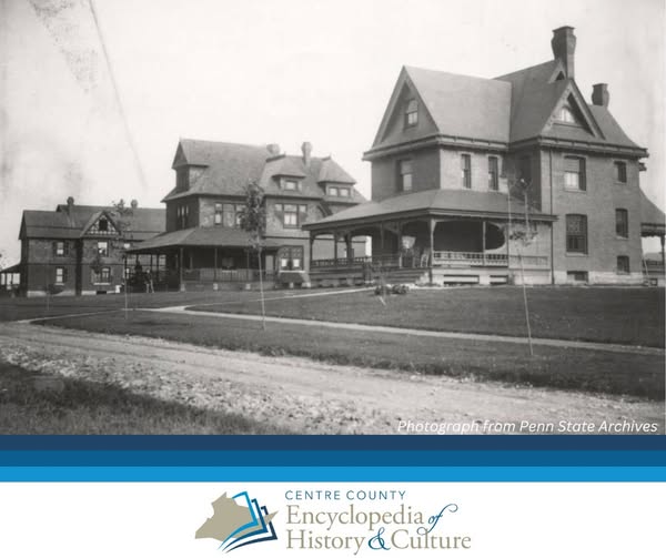 Board and governance practices